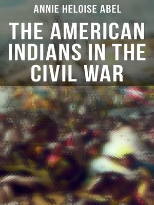 cover image of The American Indians in the Civil War